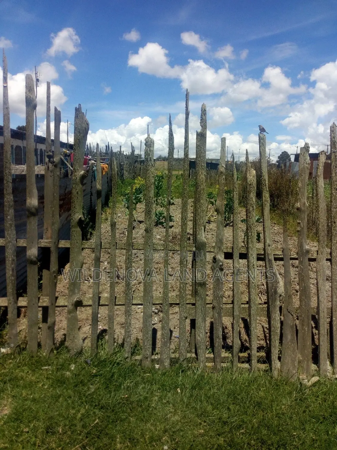 Plot for Rent: Magumu Flyover Kinangop - Make It Yours! in Magumu