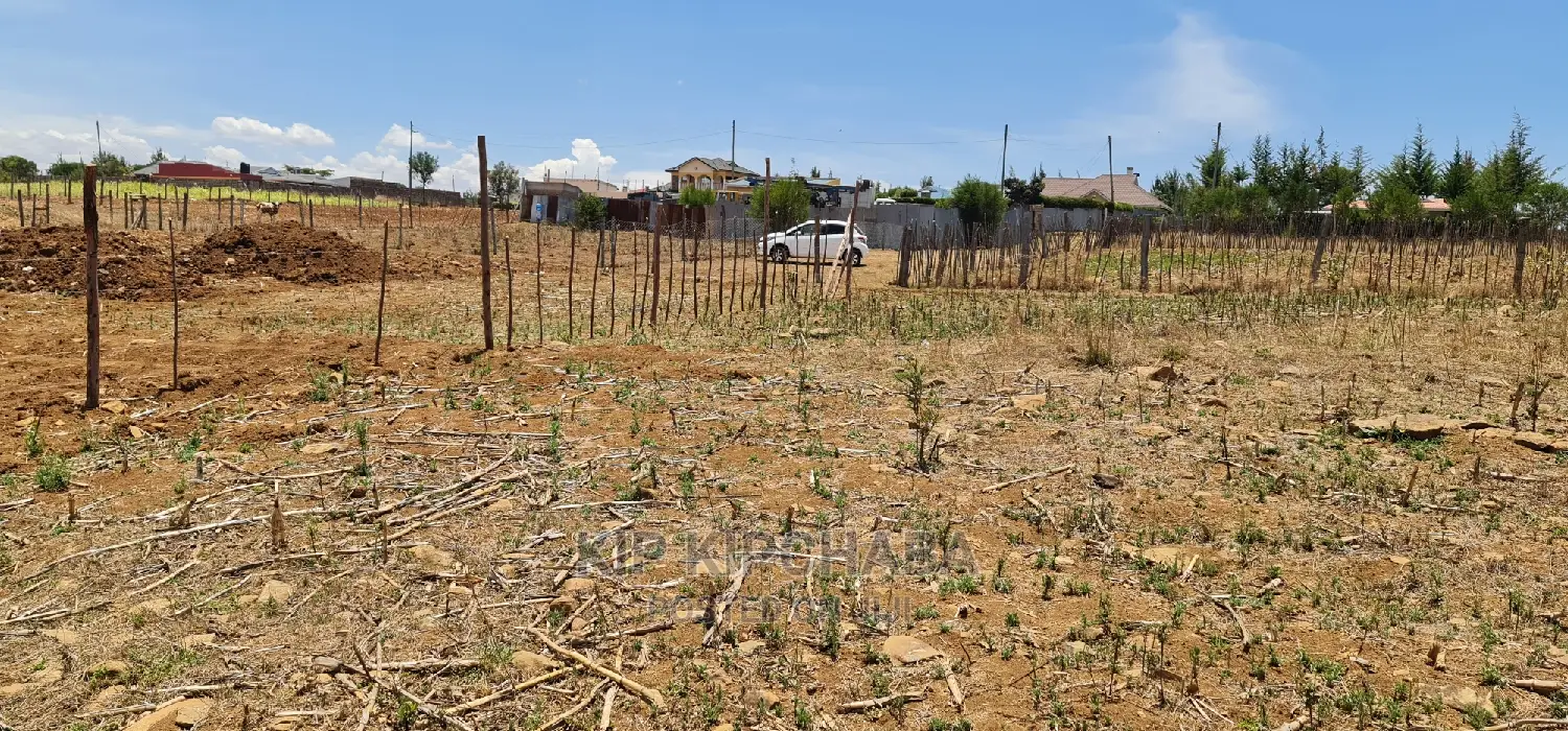 1⁄4 Acre Land Offer: Kipkorgot, Prime Location in Eldoret in Kapsoya