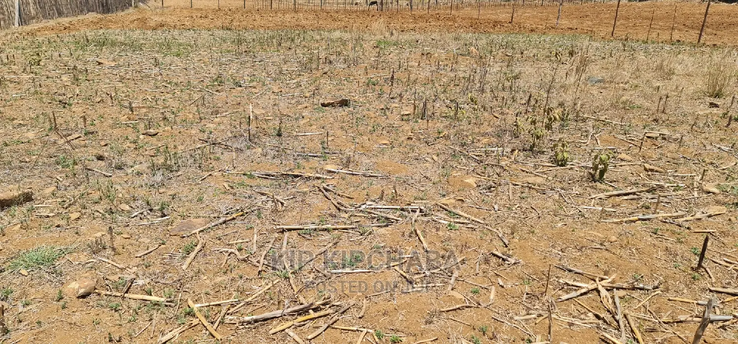 1⁄4 Acre Land Offer: Kipkorgot, Prime Location in Eldoret in Kapsoya
