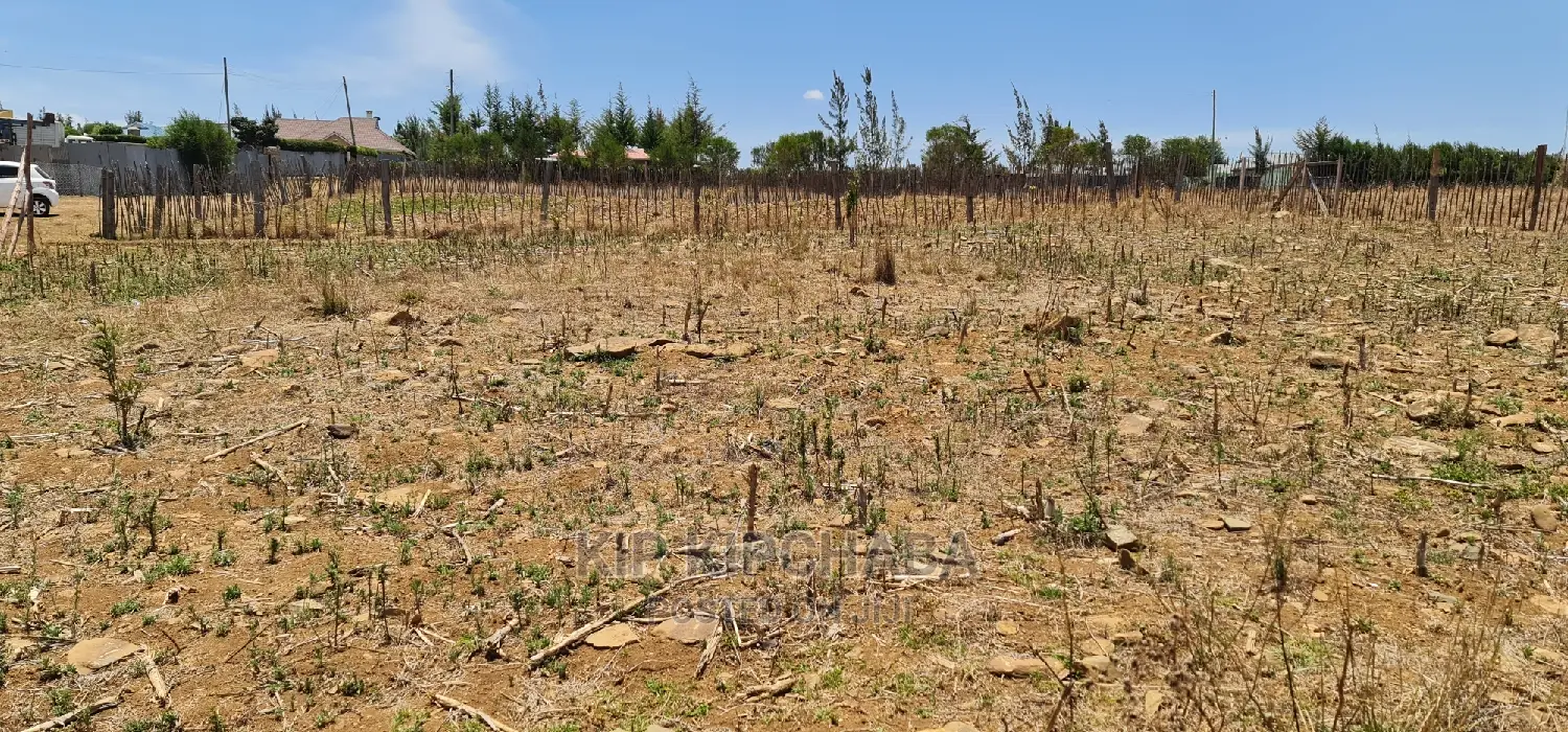 1⁄4 Acre Land Offer: Kipkorgot, Prime Location in Eldoret in Kapsoya