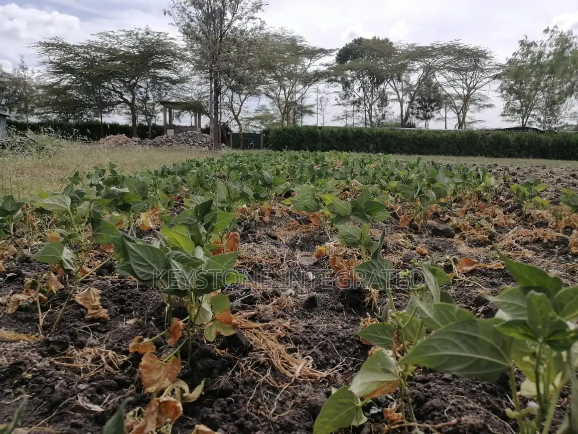 1/4 Acre Plots for Sale in Sensei Kitengela in Kitengela