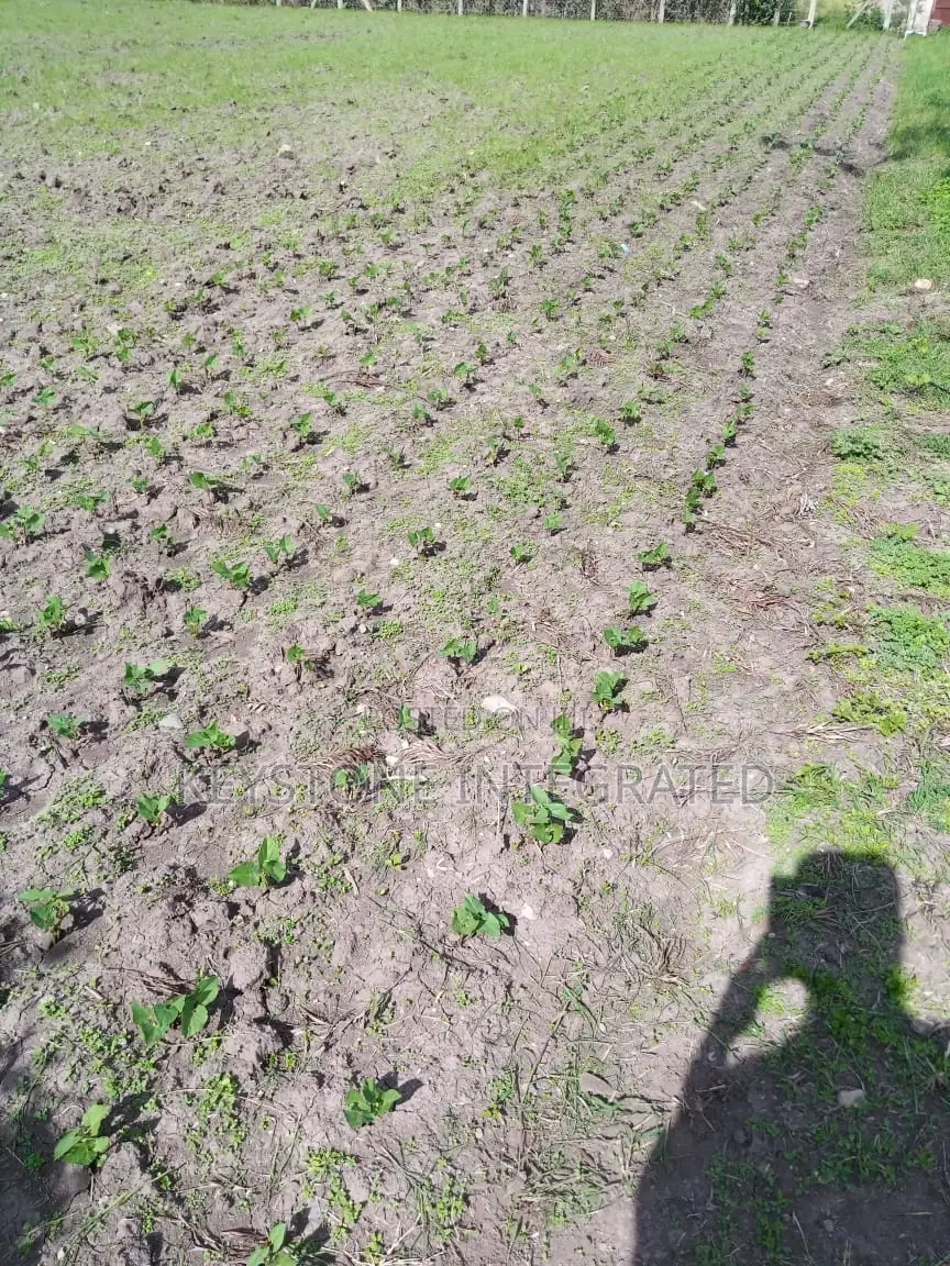 1/4 Acre Plots for Sale in Sensei Kitengela in Kitengela