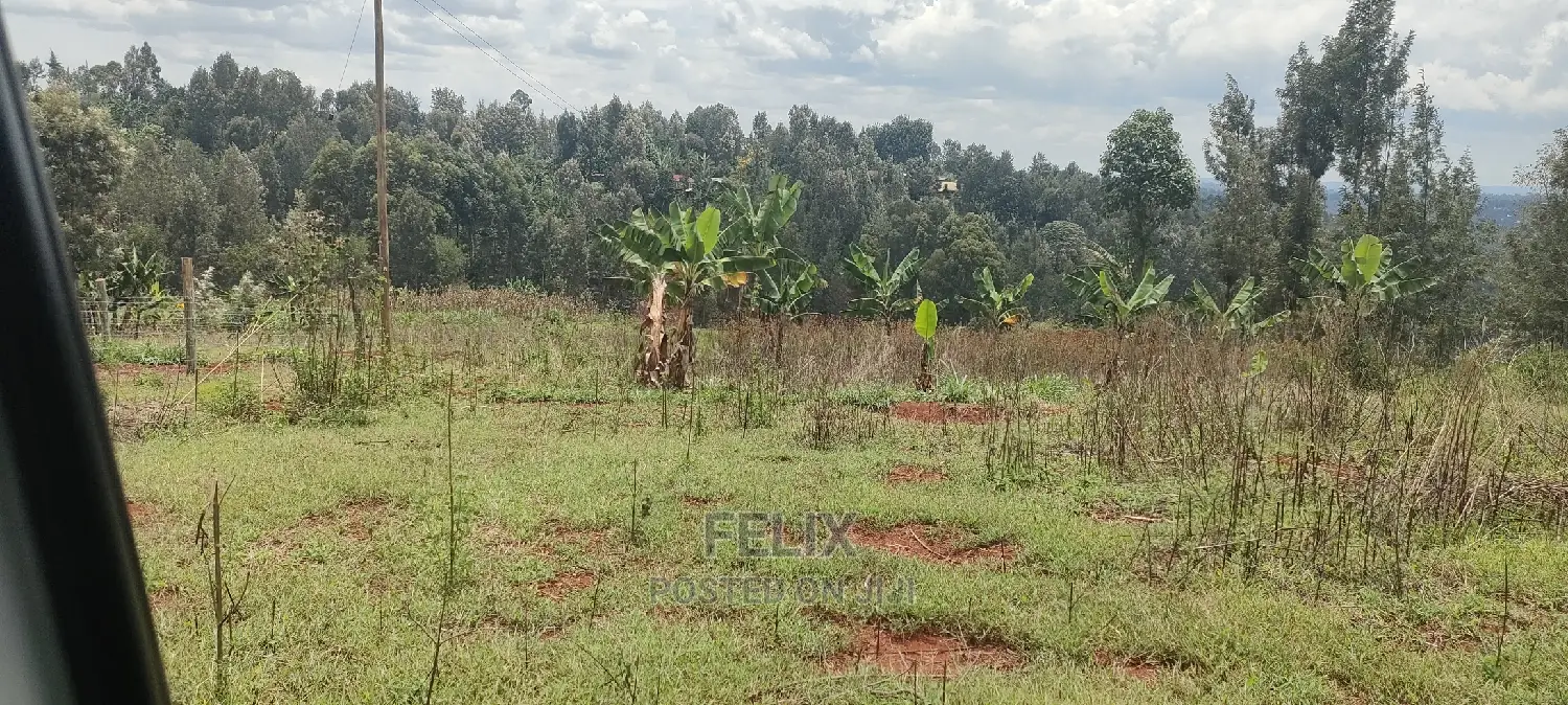 Nyeri/Gatitu 50/100 Prime Plots in Gatitu