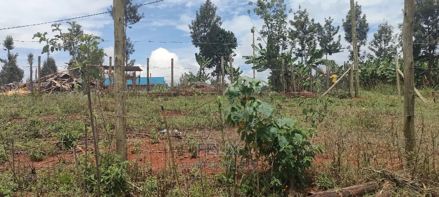 Nyeri/Gatitu 50/100 Prime Plots in Gatitu