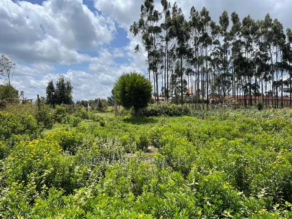 Half Acre Land in Prime Limuru, Kamandura - For Sale in Limuru CBD