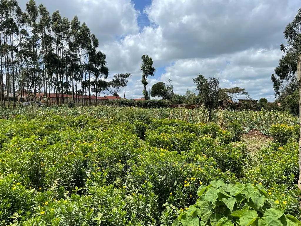 Half Acre Land in Prime Limuru, Kamandura - For Sale in Limuru CBD