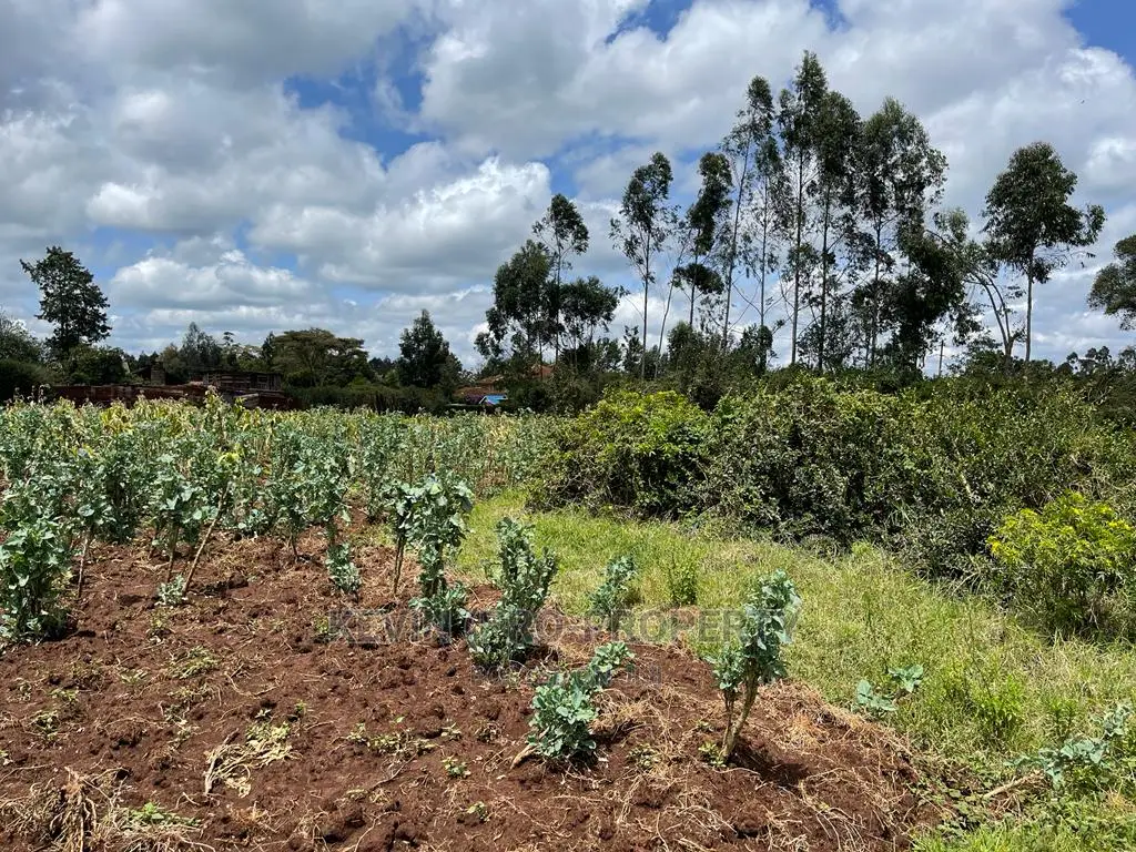 Half Acre Land in Prime Limuru, Kamandura - For Sale in Limuru CBD