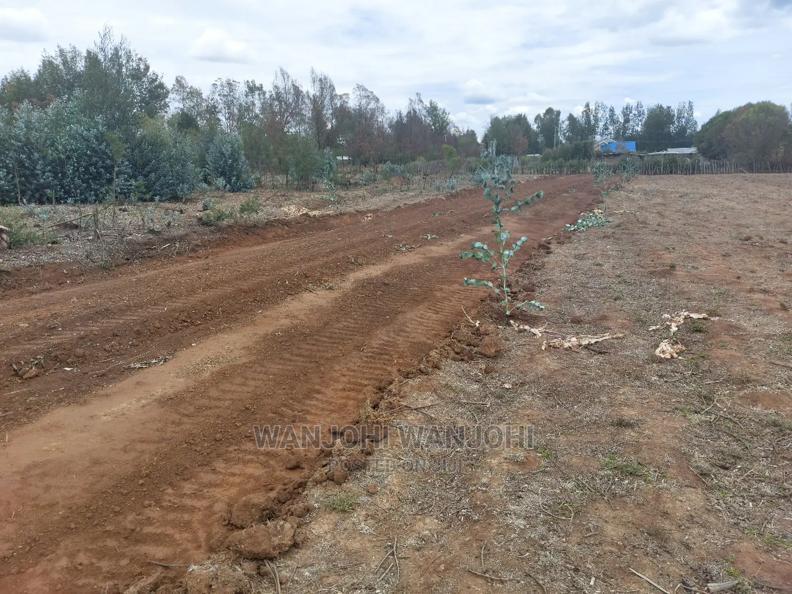 Invest in Prime Property in Nyandarua - Secure Your Future! in Karau