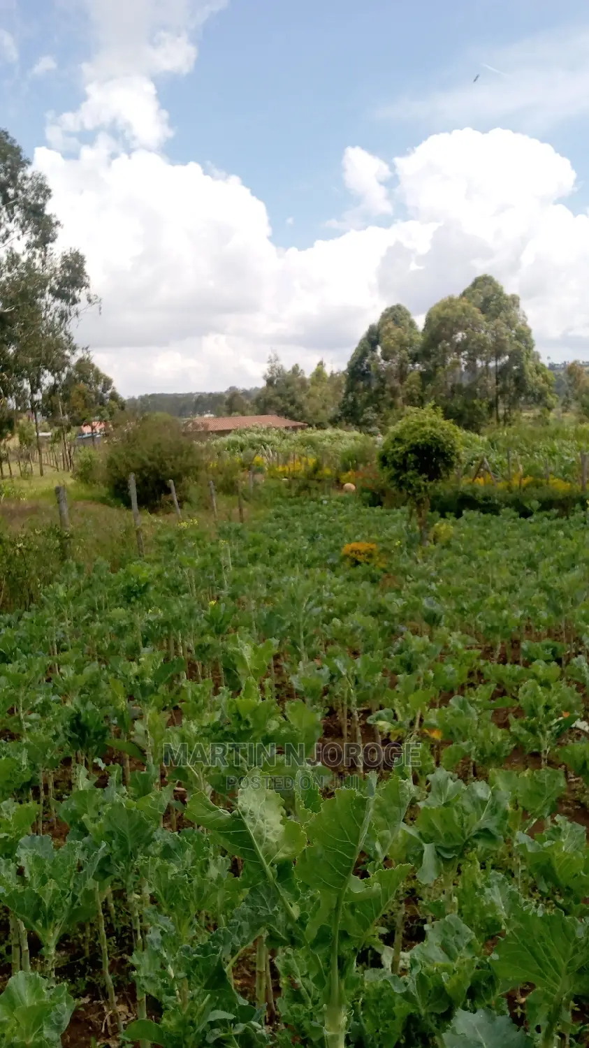 100 by 100 Plots Murengeti, Limuru in Bibirioni