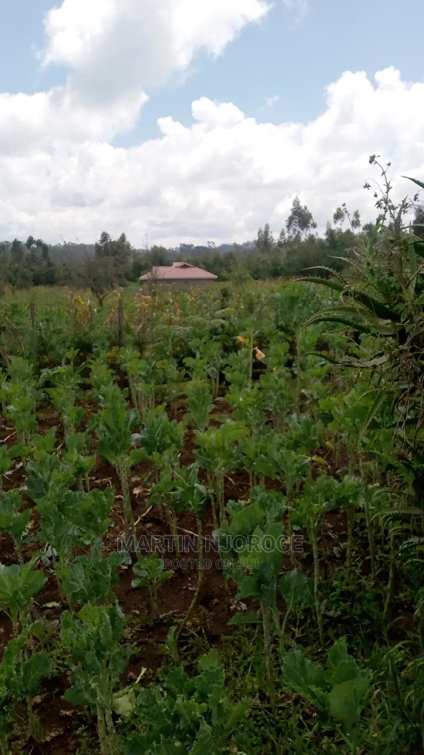 100 by 100 Plots Murengeti, Limuru in Bibirioni