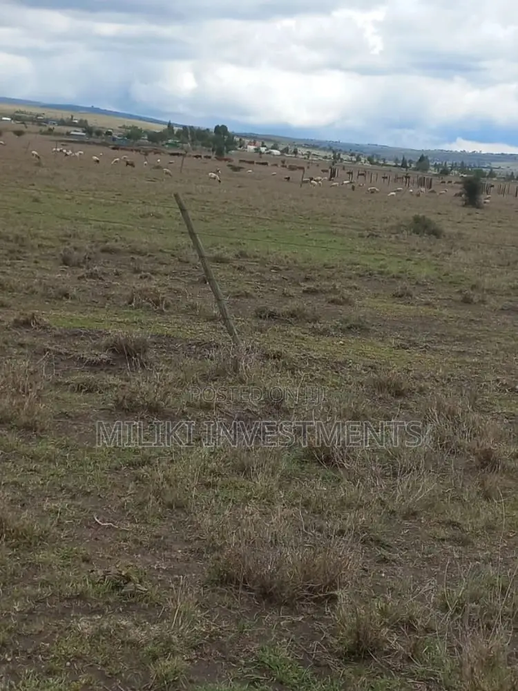 Affordable 50 x 100 Plots for Sale in Isinya - Seize the Opportunity Today! in Isinya