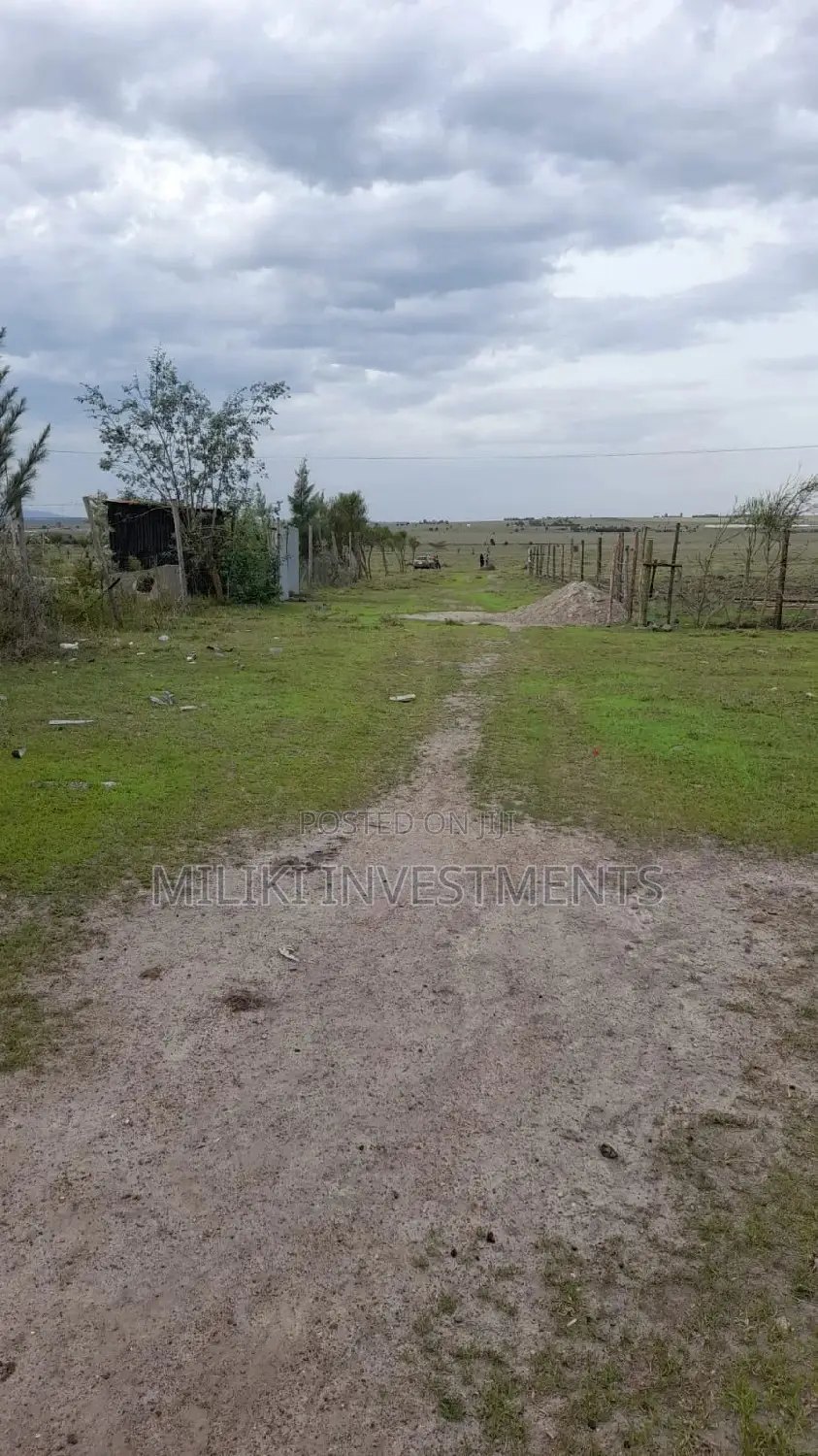 Affordable 50 x 100 Plots for Sale in Isinya - Seize the Opportunity Today! in Isinya