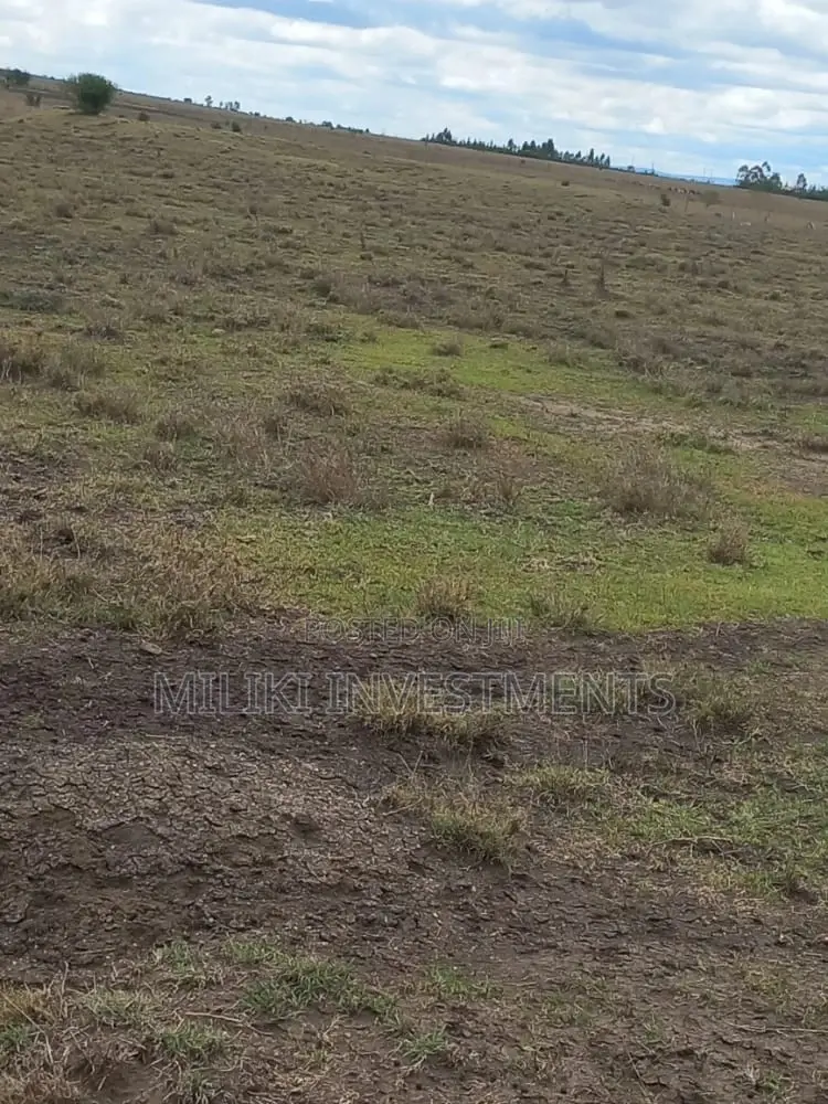 Affordable 50 x 100 Plots for Sale in Isinya - Seize the Opportunity Today! in Isinya