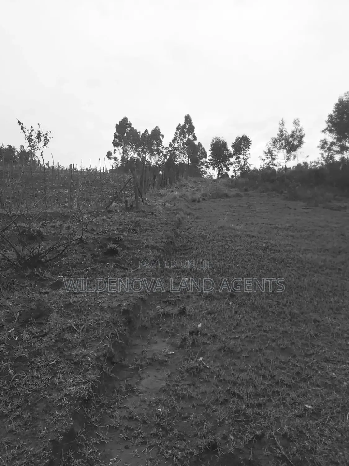 Turasha Ririshua Kinangop: Buy Land at Competitive Prices in North Kinangop