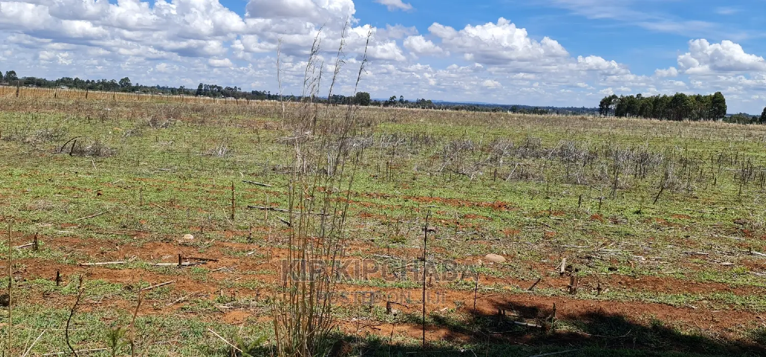 Prime Real Estate: Tarmac-adjacent Plots for Sale in Eldoret's Kuinet in Kuinet