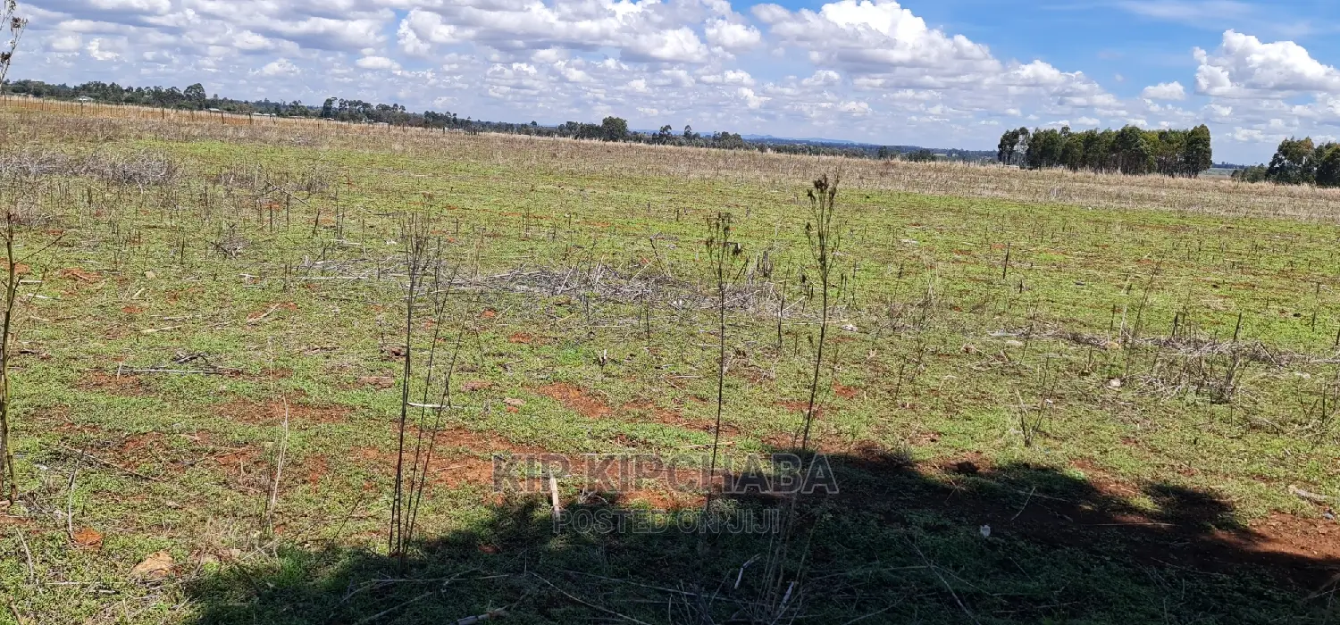 Prime Real Estate: Tarmac-adjacent Plots for Sale in Eldoret's Kuinet in Kuinet