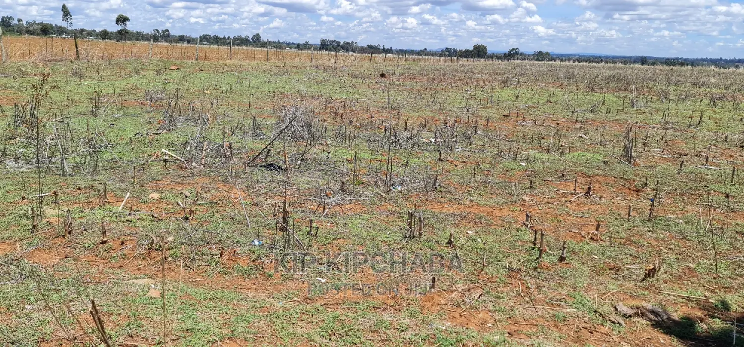 Prime Real Estate: Tarmac-adjacent Plots for Sale in Eldoret's Kuinet in Kuinet