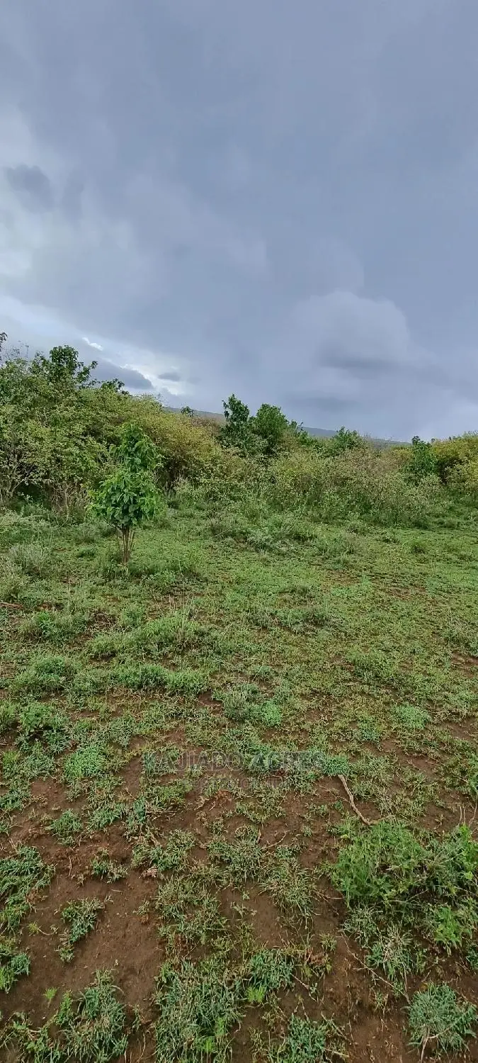 16 Acres of Prime Land for Sale: Lentoko at 450k per Acre in Ewaso Kendong