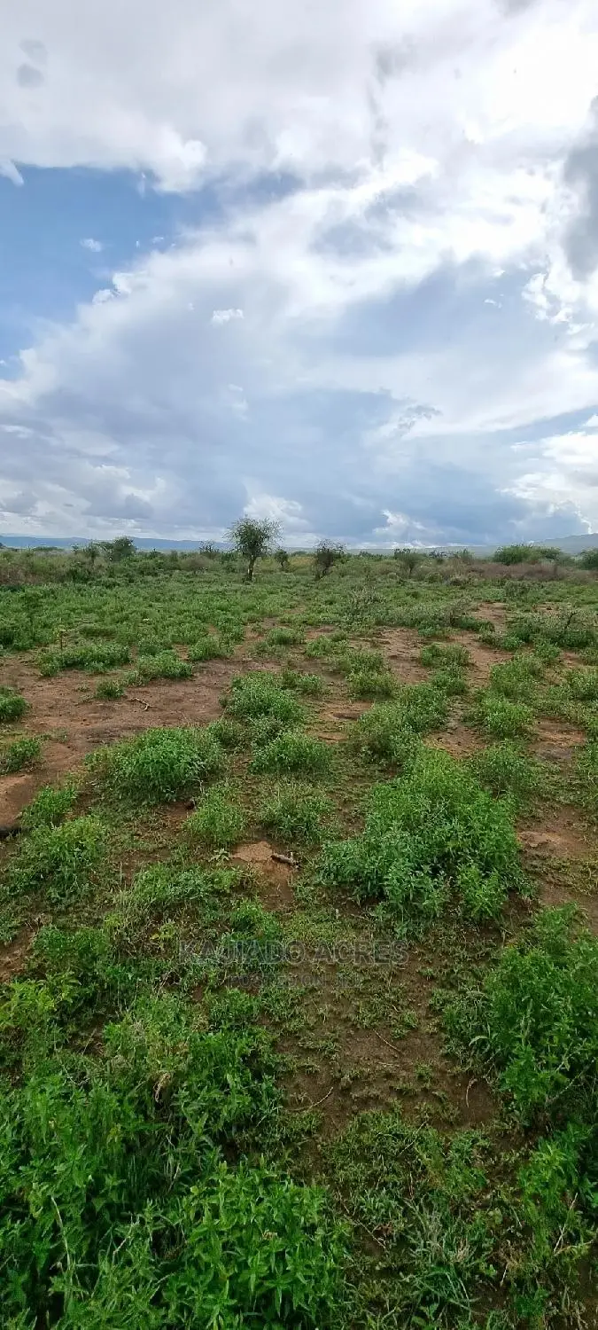 16 Acres of Prime Land for Sale: Lentoko at 450k per Acre in Ewaso Kendong