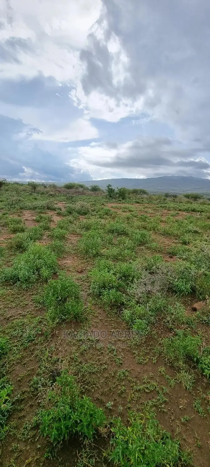 16 Acres of Prime Land for Sale: Lentoko at 450k per Acre in Ewaso Kendong