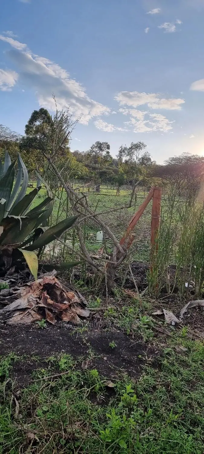 Prime 1-Acre Land for Sale in Kiserian - Excellent Investment Opportunity in Kiserian