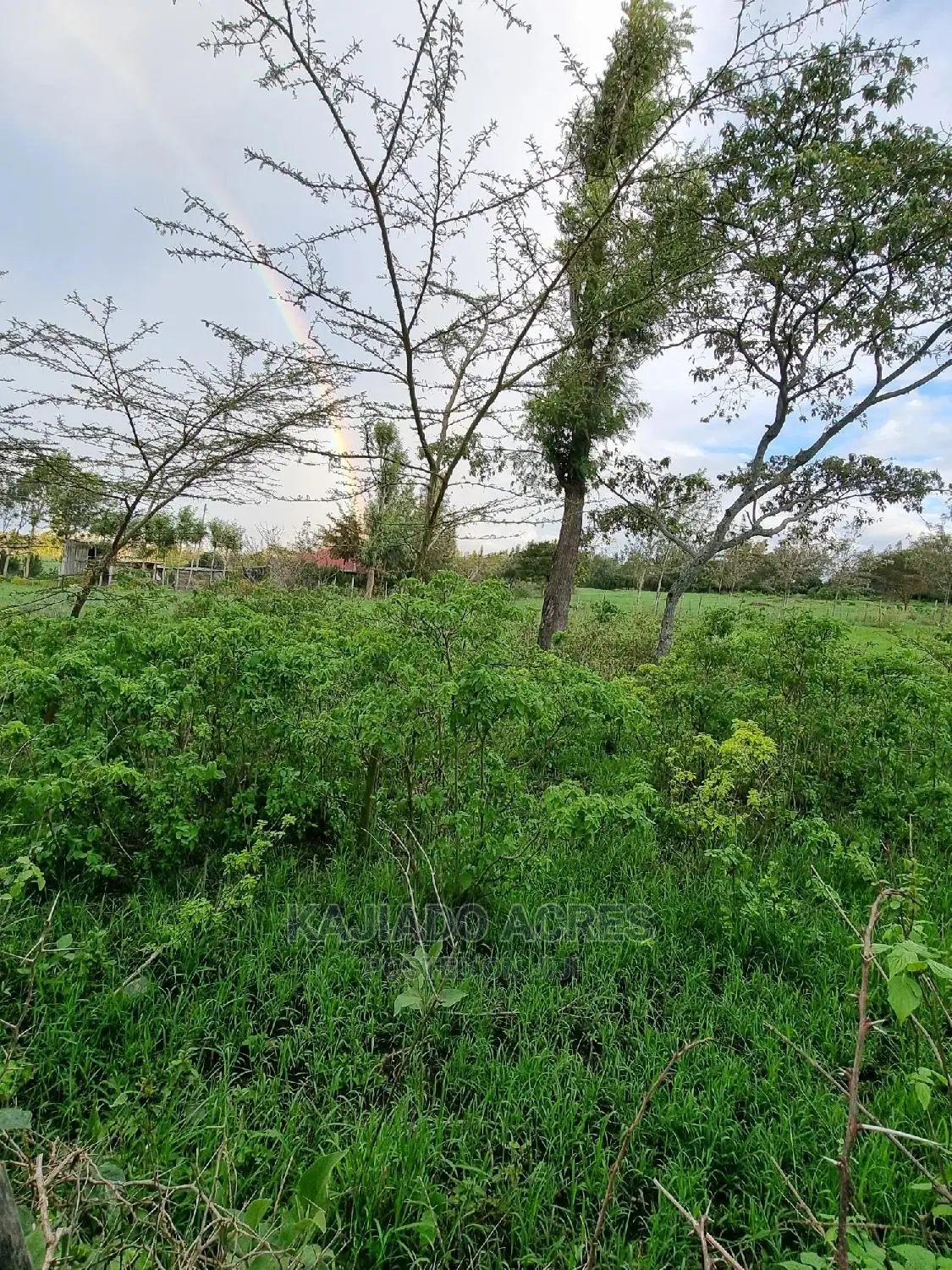 Prime 1-Acre Land for Sale in Kiserian - Excellent Investment Opportunity in Kiserian