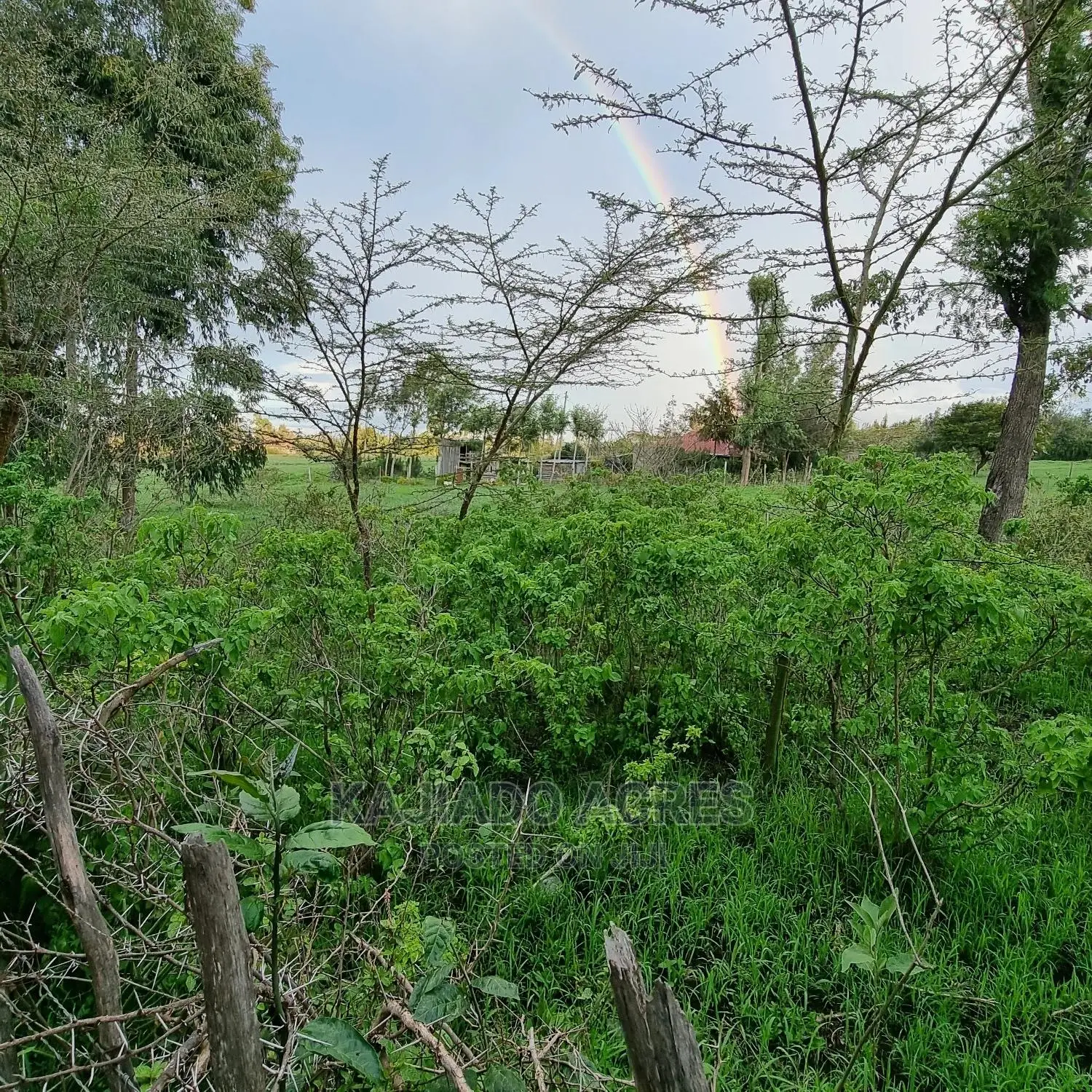Prime 1-Acre Land for Sale in Kiserian - Excellent Investment Opportunity in Kiserian