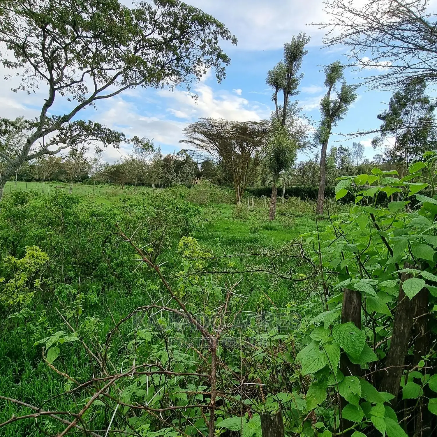Prime 1-Acre Land for Sale in Kiserian - Excellent Investment Opportunity in Kiserian