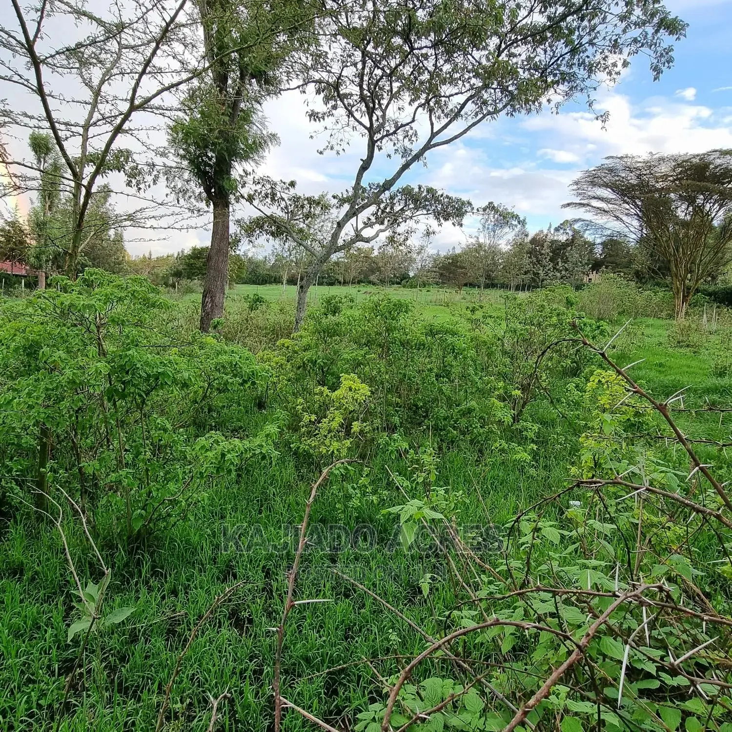 Prime 1-Acre Land for Sale in Kiserian - Excellent Investment Opportunity in Kiserian