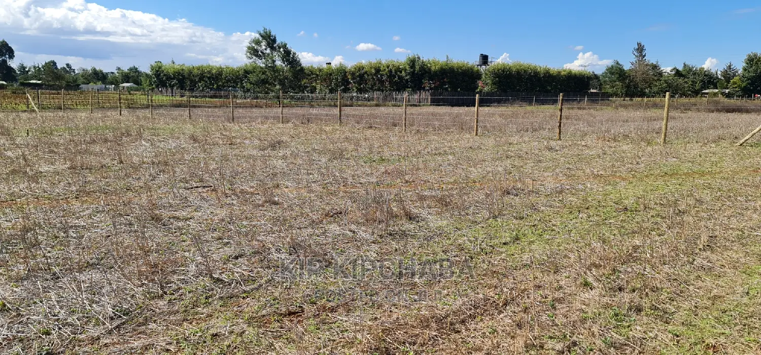 Affordable 1/4 Plot for Sale in Chepkanga Eldoret in Kimumu