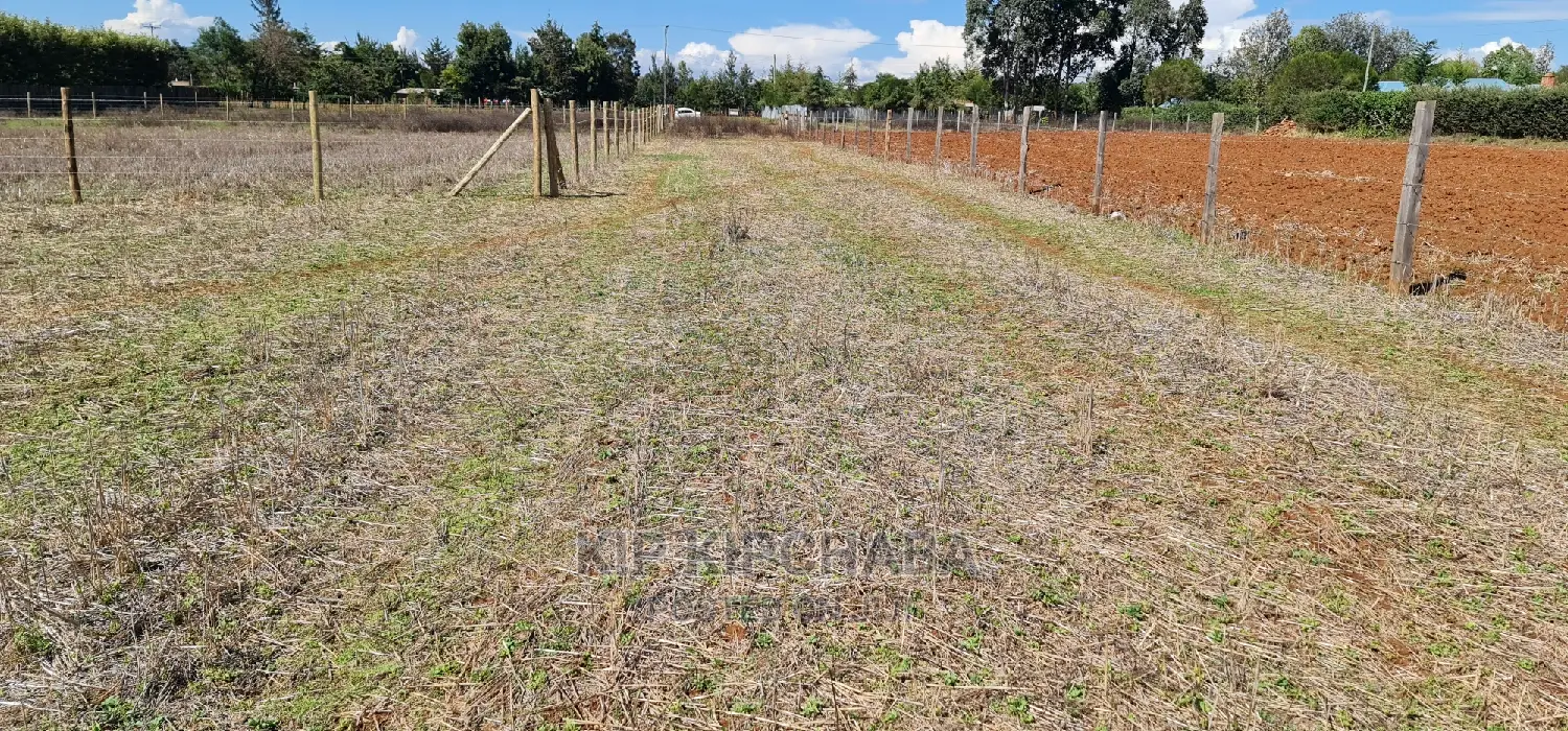 Affordable 1/4 Plot for Sale in Chepkanga Eldoret in Kimumu