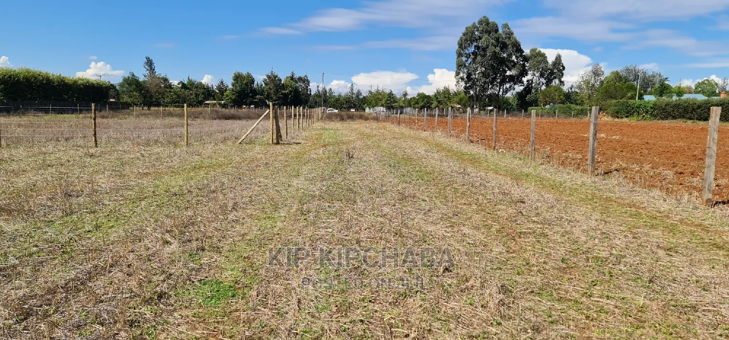 Affordable 1/4 Plot for Sale in Chepkanga Eldoret in Kimumu