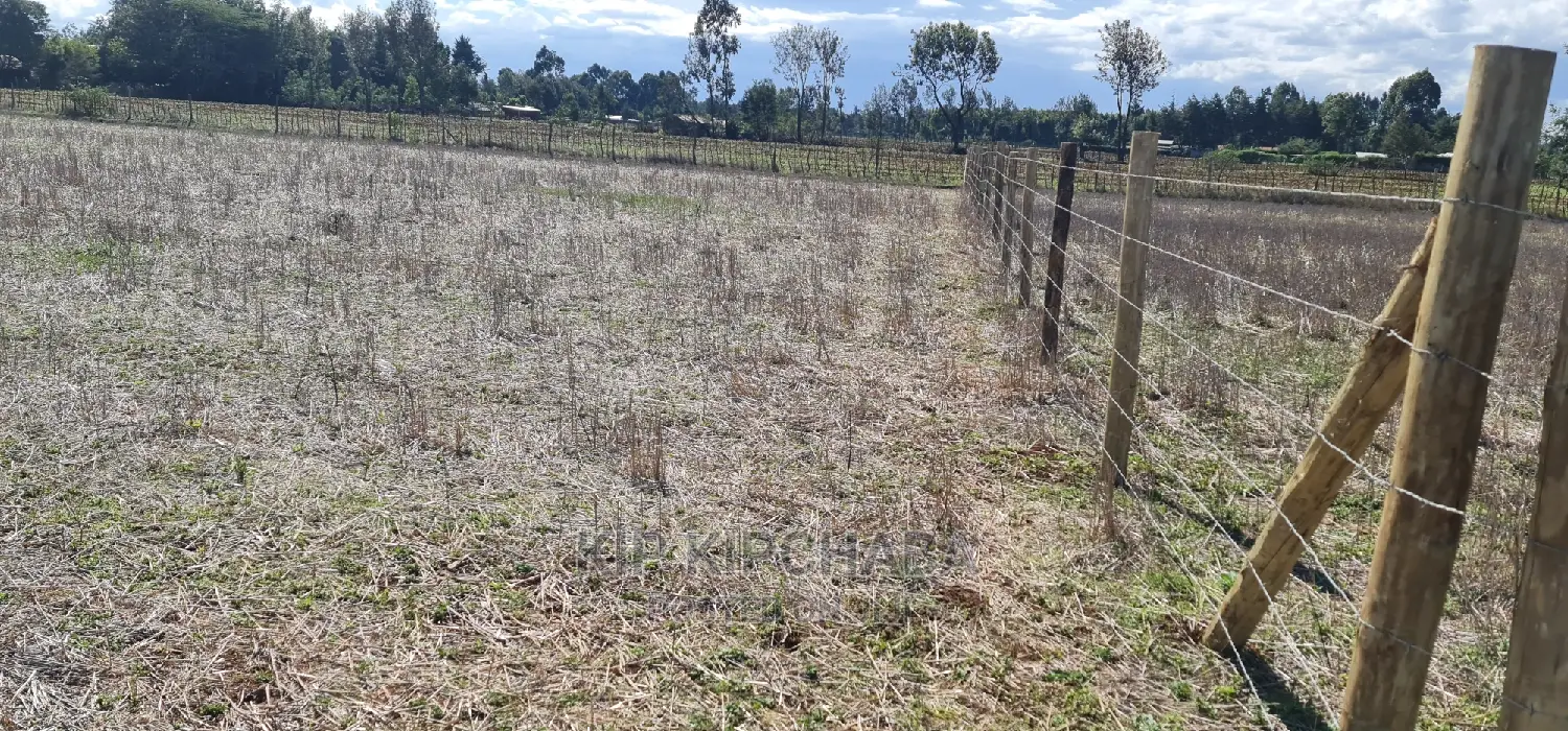 Affordable 1/4 Plot for Sale in Chepkanga Eldoret in Kimumu