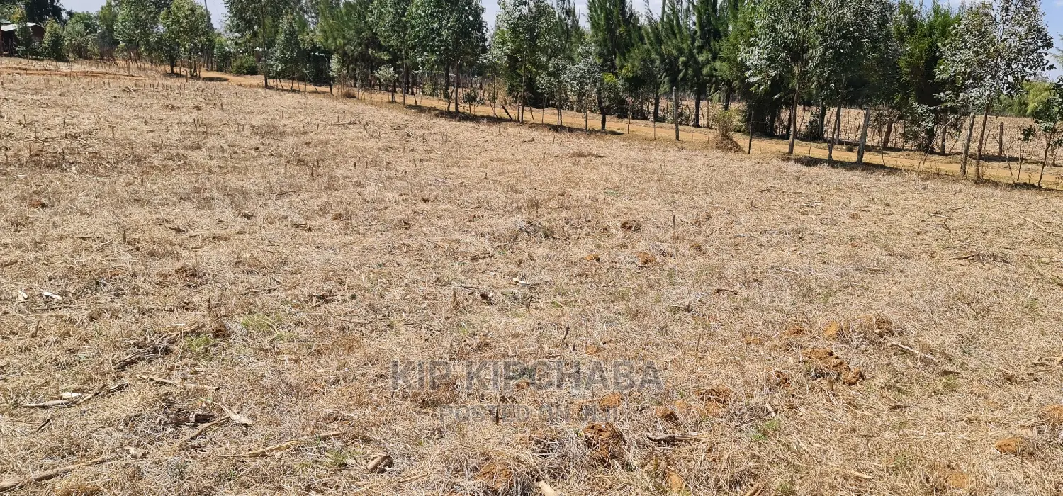 Find Your Perfect Plot in Illula Eldoret's Gated Communities in Illula