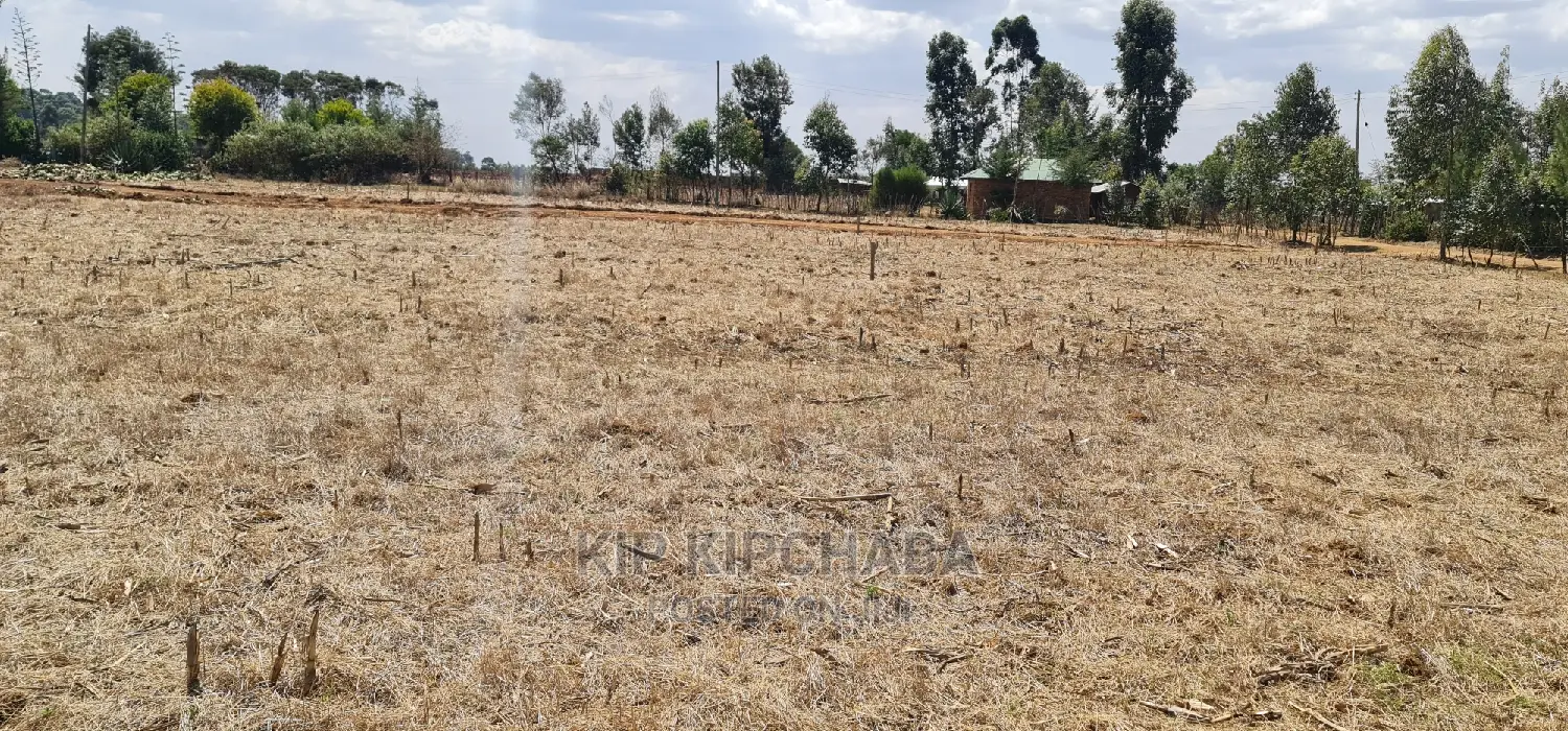 Find Your Perfect Plot in Illula Eldoret's Gated Communities in Illula