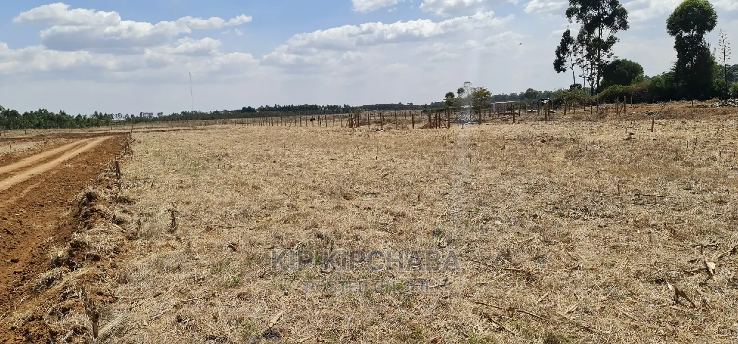 Find Your Perfect Plot in Illula Eldoret's Gated Communities in Illula