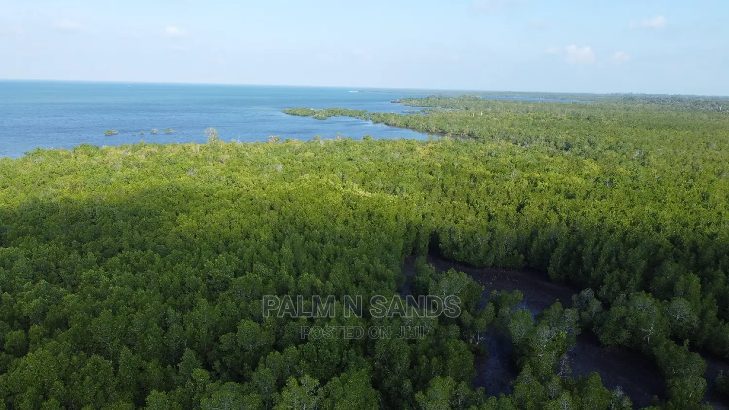 2.5-Acre Mwazaro Land Parcel for Sale: Prime Location! in Pongwe/Kikoneni