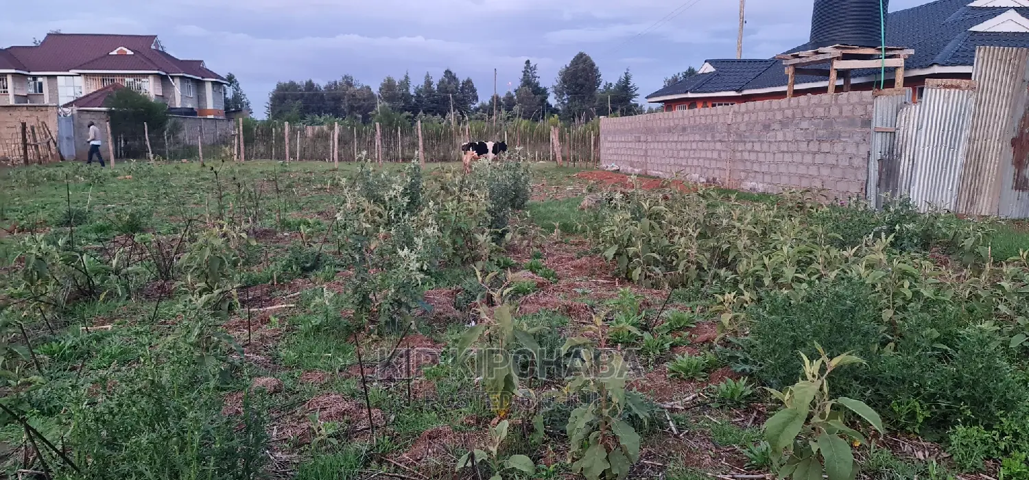 Big 1⁄4 Plot for Sale in Royalton Eldoret in Racecourse