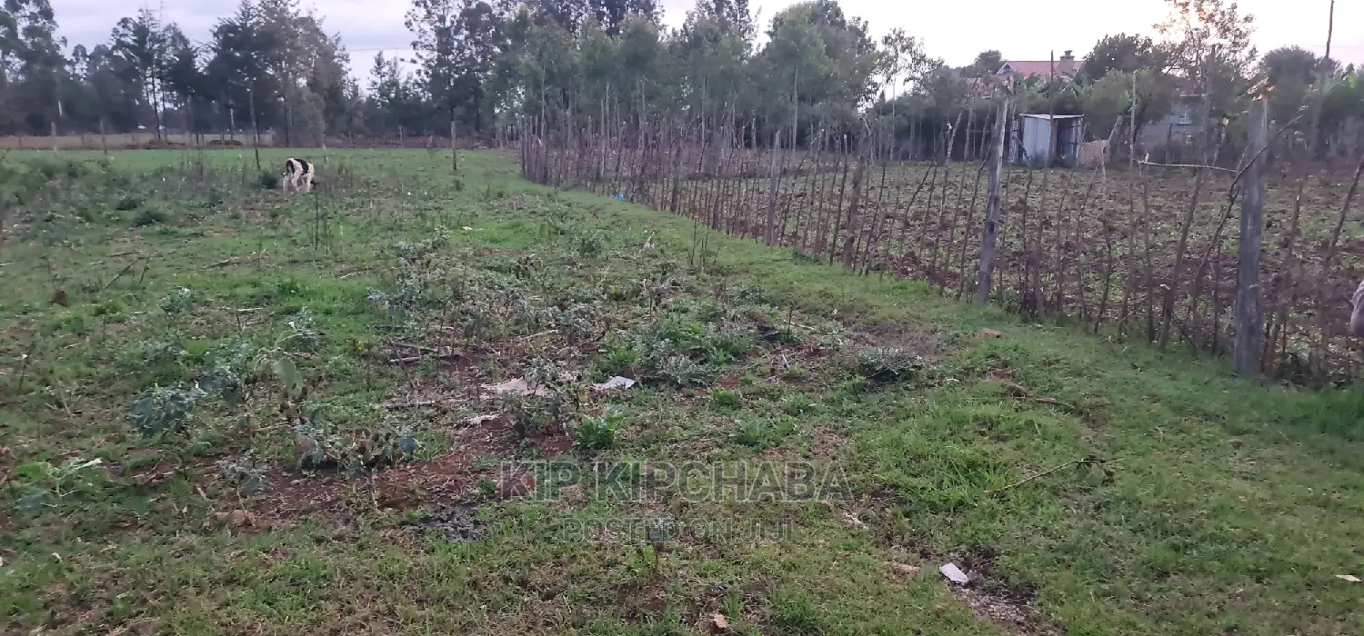 Big 1⁄4 Plot for Sale in Royalton Eldoret in Racecourse