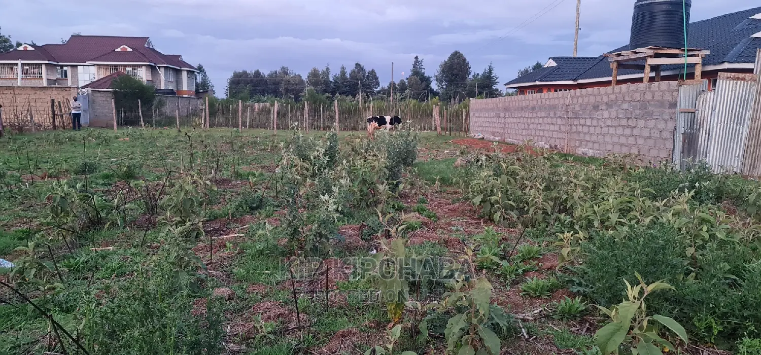 Big 1⁄4 Plot for Sale in Royalton Eldoret in Racecourse