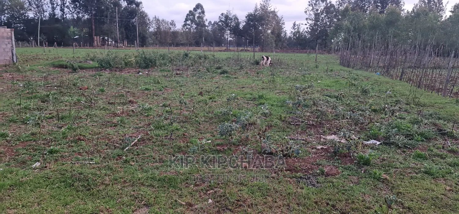 Big 1⁄4 Plot for Sale in Royalton Eldoret in Racecourse