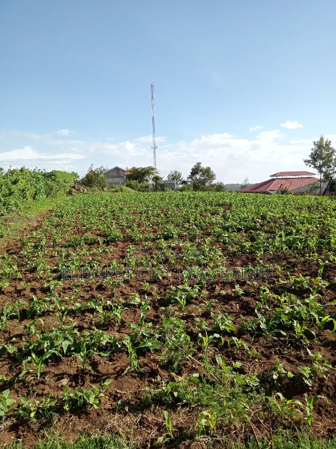 Kipkorgot Land Offering: 1/4 Acre Near Catholic Church in Eldoret CBD