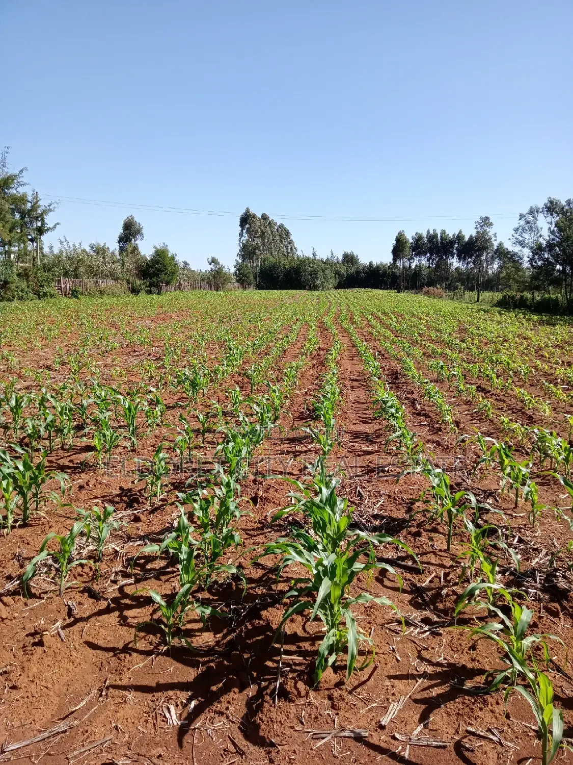 4.5 Acres Soy Farming Property for Sale in Eldoret CBD