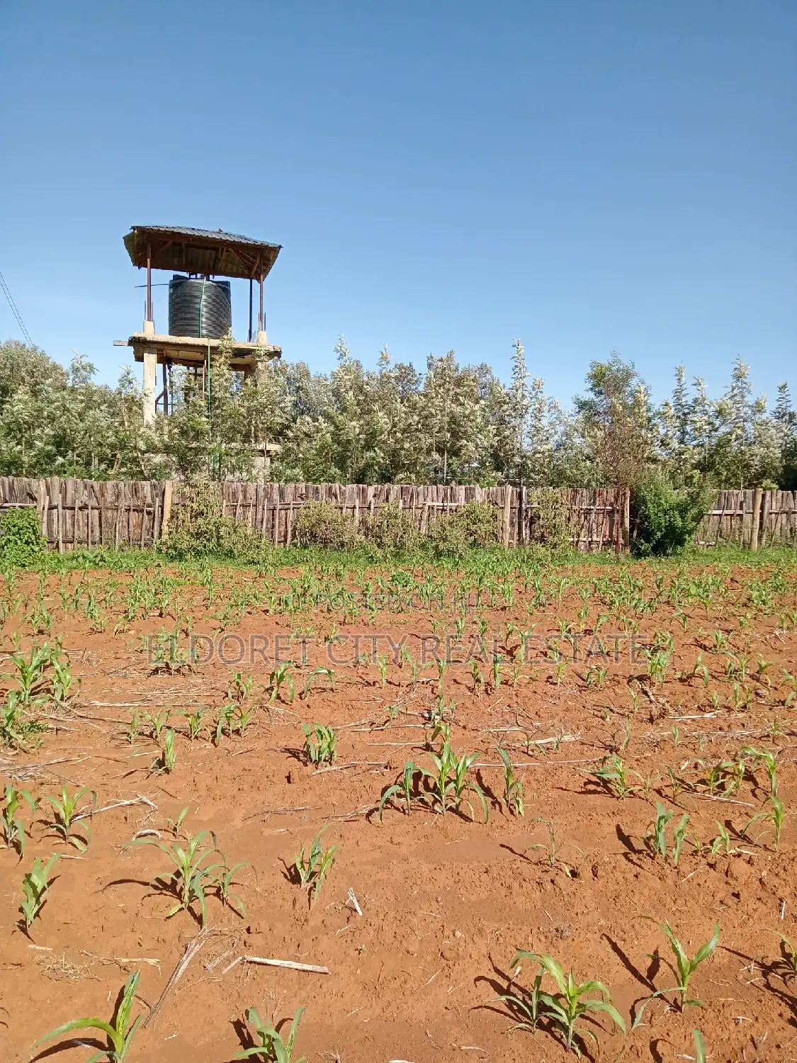 Spacious 1/4 Plot in Longonot Kipkorgot - Perfect for Home Building in Eldoret CBD