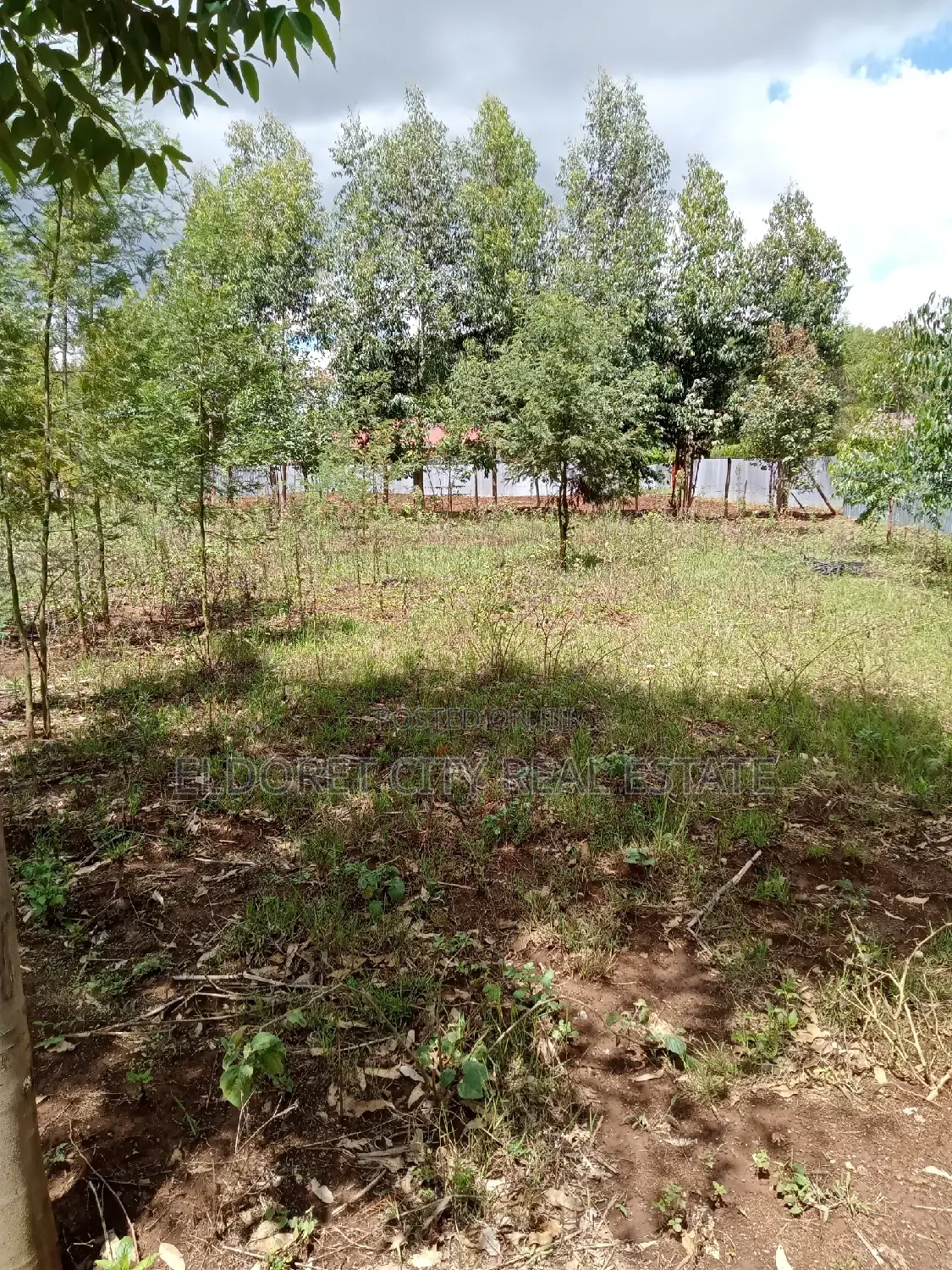 1/4 Acre Blossoming Land: Title Available for Sale in Eldoret CBD