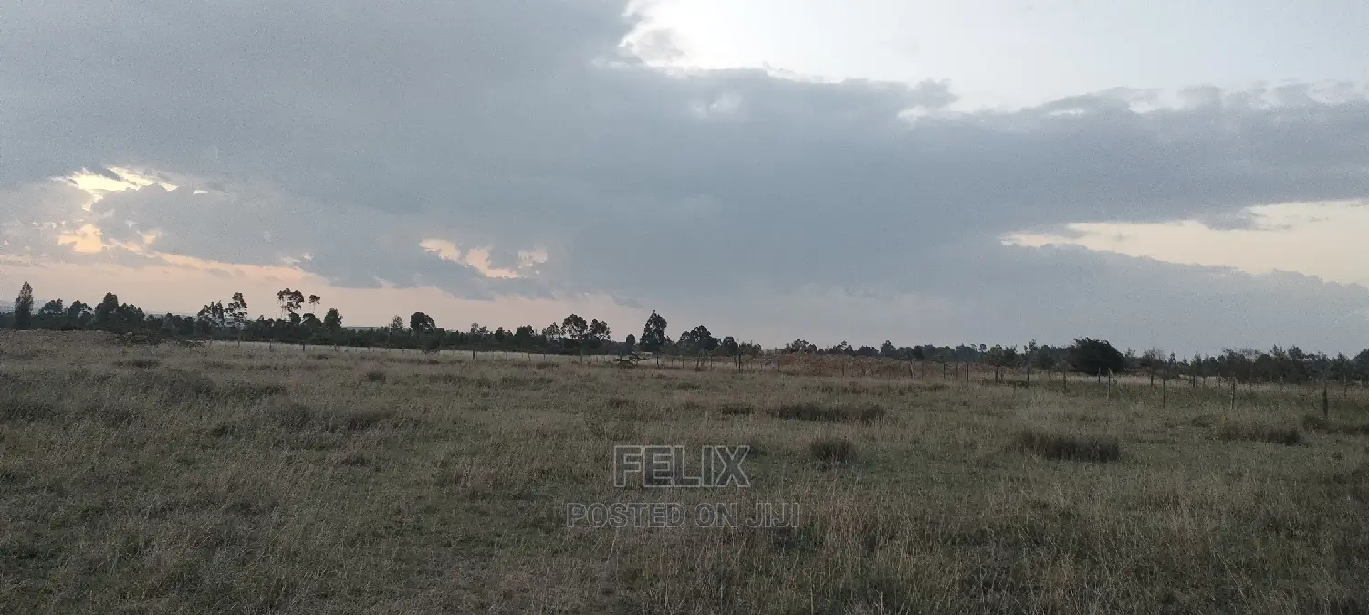 Chaka/Ndiriti Half Acre in Kieni