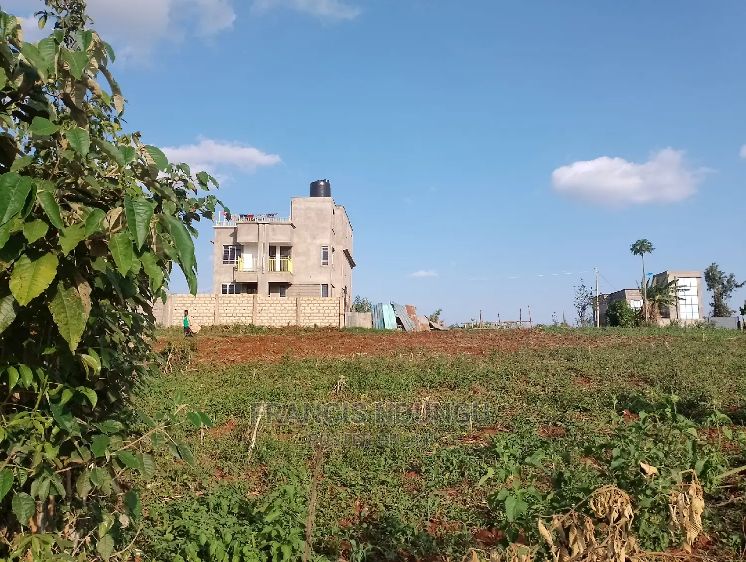 Kiora Estate: Residential Plot for Sale in Tinganga Kiambu in Tinganga
