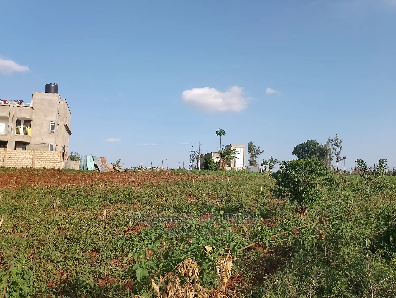 Kiora Estate: Residential Plot for Sale in Tinganga Kiambu in Tinganga