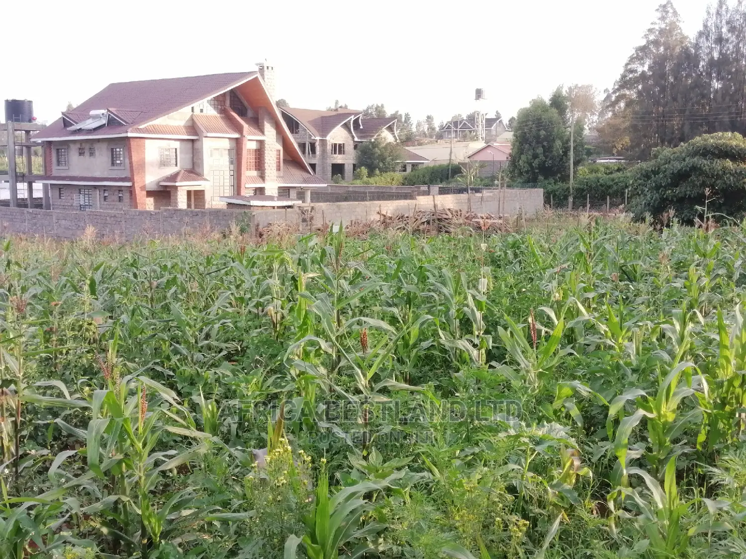 Prime Residential Plot for Sale in Kikuyu Ondiri in Kikuyu