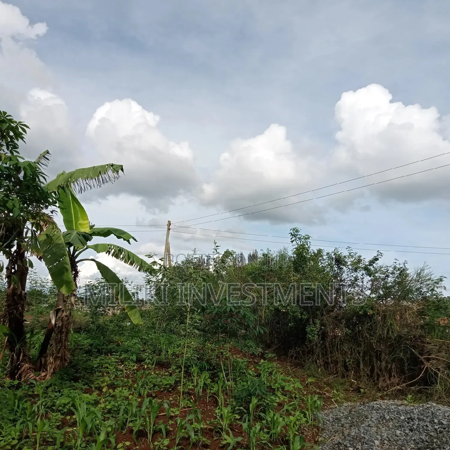 Large Kenol Property - 40x80 Sq Meters Plot Available in Kimorori/Wempa